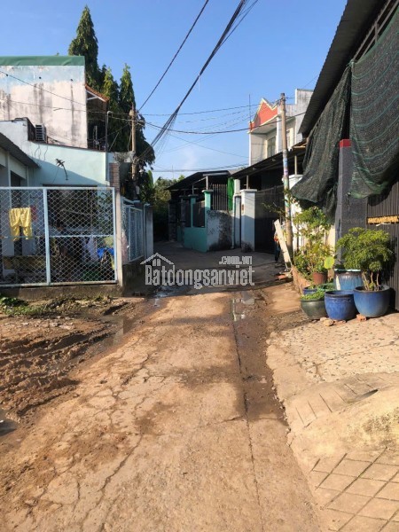 🏡 BÁN ĐẤT 300M² THỔ CƯ – TÂN PHÚ TRUNG, CỦ CHI