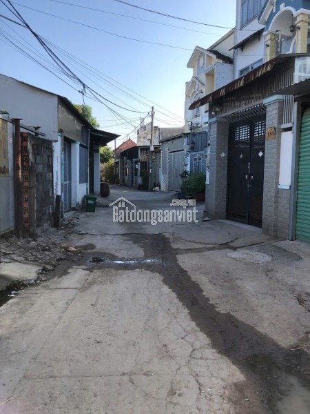 🏡 BÁN ĐẤT 300M² THỔ CƯ – TÂN PHÚ TRUNG, CỦ CHI