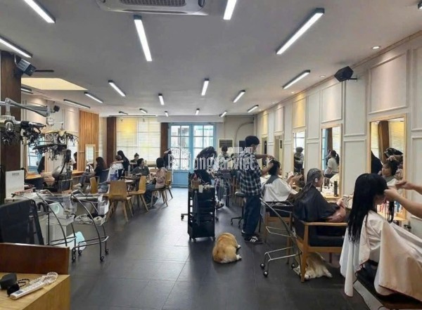 Cần Bán Gấp Mặt Tiền Ngô Thời Nhiệm Quận 3 Giá Tốt Khu Vực, Ngang Khủng 9.43m2