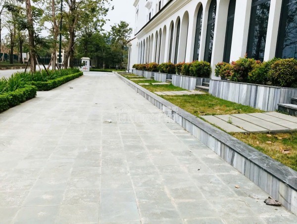 Shophouse cạnh VietinBank Tower Ciputra – 145m², dòng tiền 55 triệu/tháng