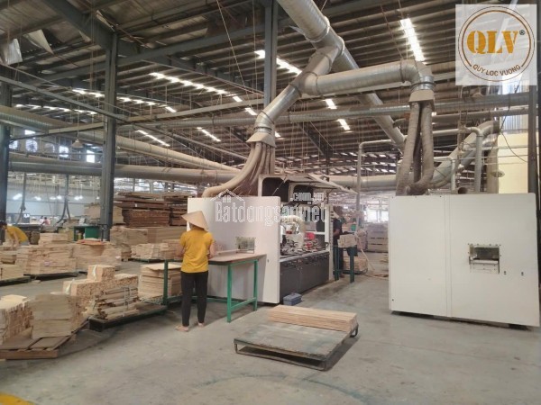 CHO THUÊ NHÀ XƯỞNG SẢN XUẤT GỖ, TÂN UYÊN, BÌNH DƯƠNG, 13.000m²