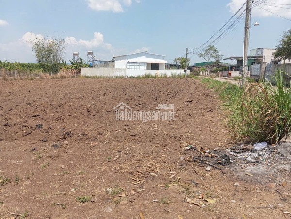ĐẤT ĐẸP - GIÁ TỐT - CHÍNH CHỦ CẦN BÁN 4 Lô Liền Kề Xã Tân Hội, Đức Trọng, Lâm Đồng