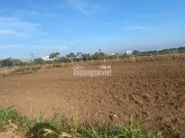 ĐẤT ĐẸP - GIÁ TỐT - CHÍNH CHỦ CẦN BÁN 4 Lô Liền Kề Xã Tân Hội, Đức Trọng, Lâm Đồng