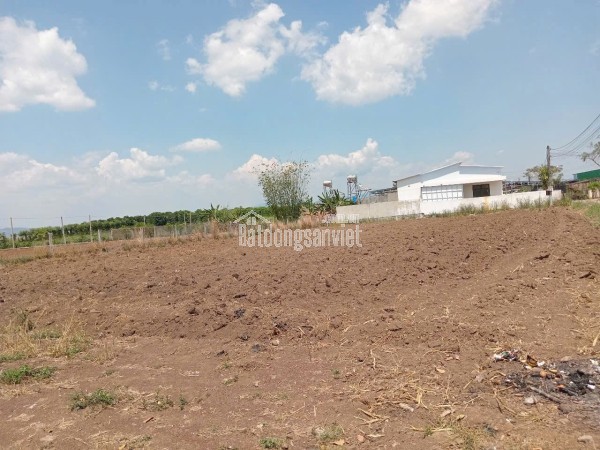ĐẤT ĐẸP - GIÁ TỐT - CHÍNH CHỦ CẦN BÁN 4 Lô Liền Kề Xã Tân Hội, Đức Trọng, Lâm Đồng