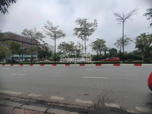 Giảm 4 tỷ mặt phố Cổ Linh toà văn phòng mt 12m dt 130m2 4 tầng kinh doanh cao cấp