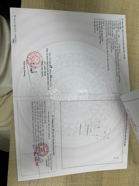 Bán Nhanh Lô Đất Thôn an Quang Tây xã cát Khánh, phù cát,  tỉnh Bình định cũ