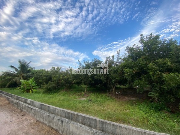 ĐẦU TƯ SINH LỜI – CHÍNH CHỦ CẦN BÁN ĐẤT Tại  Xã Trường Đông, thị xã Hòa Thành, tỉnh Tây Ninh