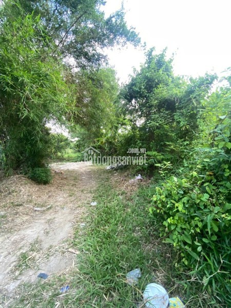 ĐẦU TƯ SINH LỜI – CHÍNH CHỦ CẦN BÁN ĐẤT Tại  Xã Trường Đông, thị xã Hòa Thành, tỉnh Tây Ninh