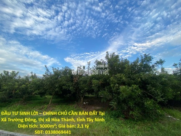 ĐẦU TƯ SINH LỜI – CHÍNH CHỦ CẦN BÁN ĐẤT Tại  Xã Trường Đông, thị xã Hòa Thành, tỉnh Tây Ninh