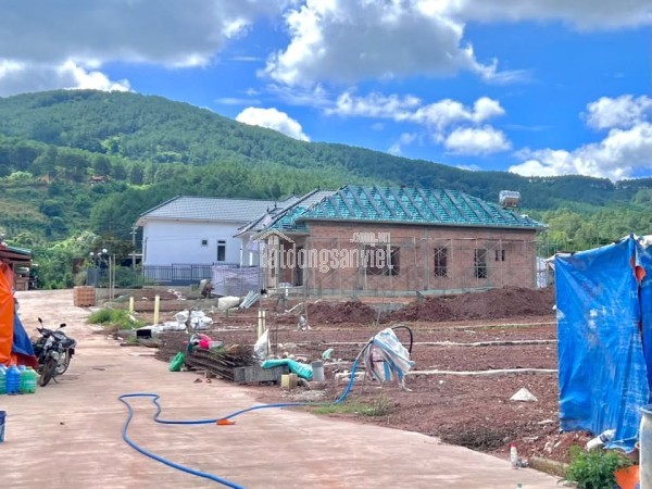 Cần Bán Đất 542m² Có 200m² Thổ Cư Giữa Đồi Thông, Lý Tưởng Xây Nhà Vườn