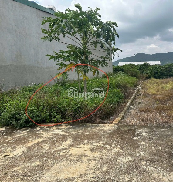 Bán đất 115m2 An Hiệp Liên Hiệp Đức Trọng  Lâm Đồng Giá Chỉ 900 triệu