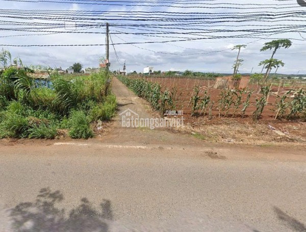 Bán đất 115m2 An Hiệp Liên Hiệp Đức Trọng  Lâm Đồng Giá Chỉ 900 triệu