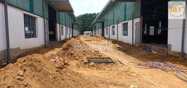 CHO THUÊ NHÀ XƯỞNG LONG THÀNH, ĐỒNG NAI (GẦN NGÃ BA THÁI LAN) – 5.100m²