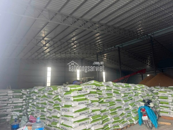 25.  Cho thuê Kho KV Tasa Nguyễn Bỉnh Khiêm thông Bình Kiều, Kiều Hạ, Đông Hải 2, Hải An