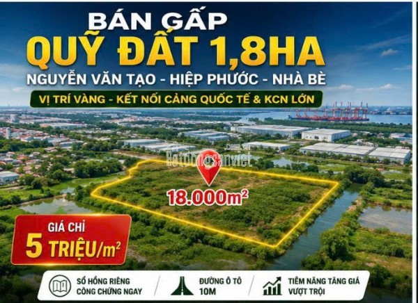 Bán Gấp Đất 18.000m² Nguyễn Văn Tạo, Nhà Bè – Gần Cảng Quốc Tế – Chỉ 5 Triệu/m²
