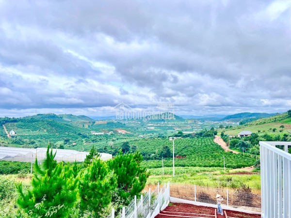 Cần Bán Nhà Vườn 450m² View Nam Hà – Phi Tô, Sân Vườn Rộng, Giá Chỉ 3,5 Tỷ