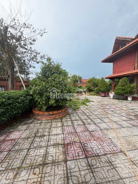 NHÀ ĐẸP–GIÁ TỐT–CHÍNH CHỦ Cần Bán Nhanh Căn Nhà Gỗ Xã Mỹ Lộc, Huyện Cần Giuộc, Long An.