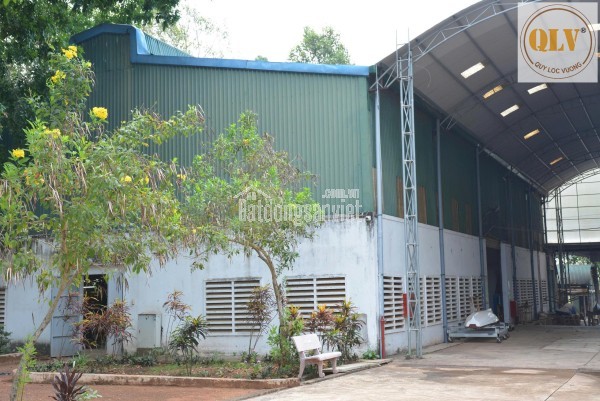 BÁN NHÀ XƯỞNG SẢN XUẤT TẠI ĐỊNH QUÁN, ĐỒNG NAI – 26.025m²