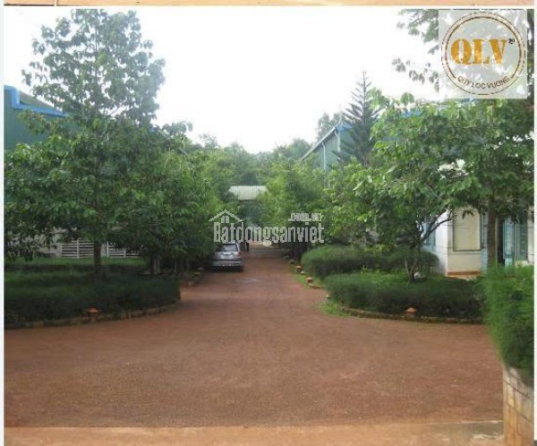 BÁN NHÀ XƯỞNG SẢN XUẤT TẠI ĐỊNH QUÁN, ĐỒNG NAI – 26.025m²