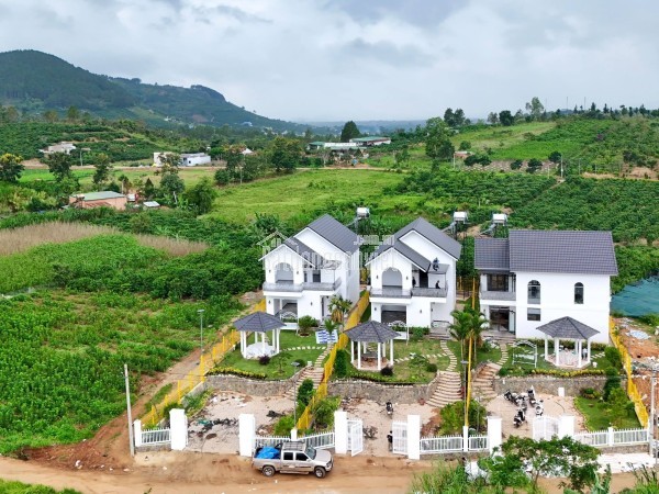 Cần Bán Biệt Thự Sân Vườn 467m² Gần Đà Lạt, Thiết Kế Hiện Đại, Sân Vườn Rộng