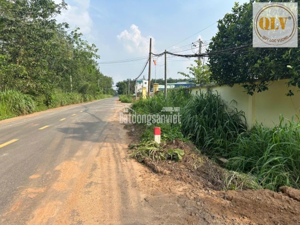 CHO THUÊ NHÀ XƯỞNG MỚI TẠI BÀU BÀNG, BÌNH DƯƠNG – 6.118m²