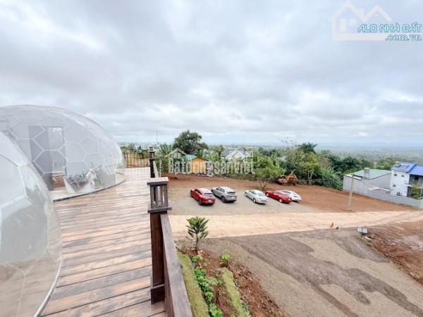 Ngay khu homestay đồi hoàng hôn Nguyễn Hữu Thấu nối dài 30x21m 3,9 tỷ (thương lượng nhẹ) Quỳnh Anh