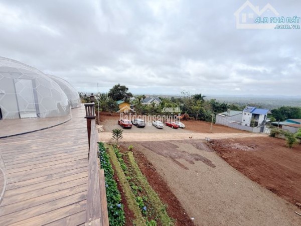 Ngay khu homestay đồi hoàng hôn Nguyễn Hữu Thấu nối dài 30x21m 3,9 tỷ (thương lượng nhẹ) Quỳnh Anh