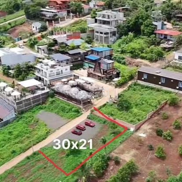 Ngay khu homestay đồi hoàng hôn Nguyễn Hữu Thấu nối dài 30x21m 3,9 tỷ (thương lượng nhẹ) Quỳnh Anh