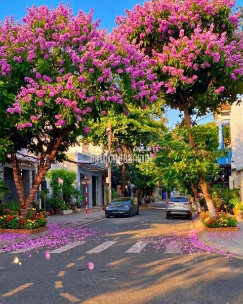 ĐẤT ĐẸP- GIÁ TỐT Chính chủ Bán nhanh lô đất trung tâm thị trấn Me - Gia Viễn,  tỉnh Ninh Bình