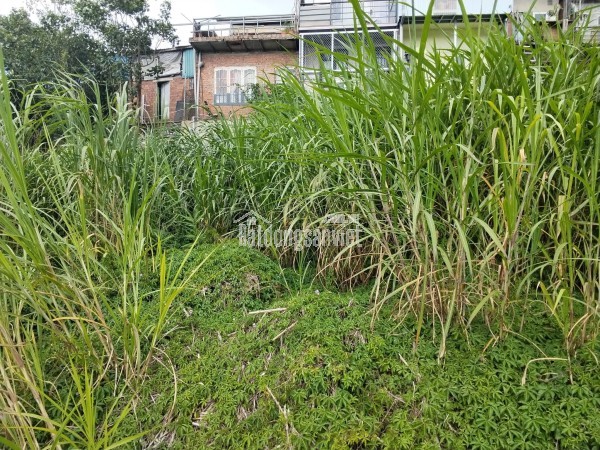 ĐẤT ĐẸP TÔ HIỆU – ĐÀ LẠT  VIEW THOÁNG – ĐƯỜNG Ô TÔ TẬN NƠI