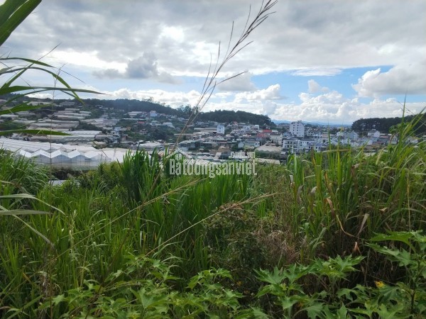 ĐẤT ĐẸP TÔ HIỆU – ĐÀ LẠT  VIEW THOÁNG – ĐƯỜNG Ô TÔ TẬN NƠI