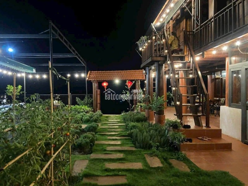 Homestay ngay trung tâm Tân Lợi khu đồi hoàng hôn 17x20m TC100% 7,9 tỷ Quỳnh Anh