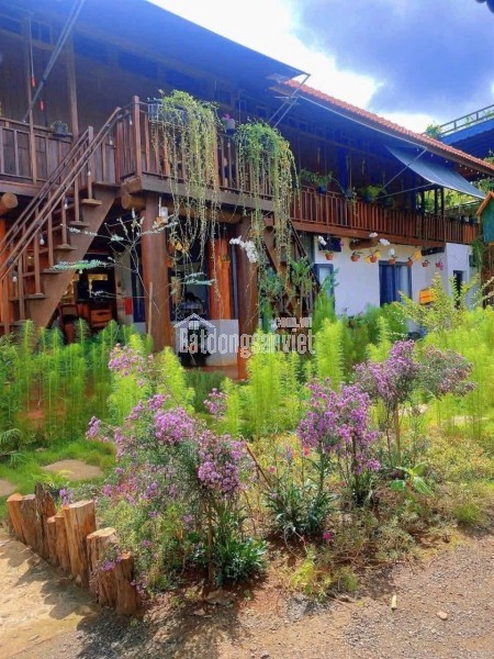 Homestay ngay trung tâm Tân Lợi khu đồi hoàng hôn 17x20m TC100% 7,9 tỷ Quỳnh Anh