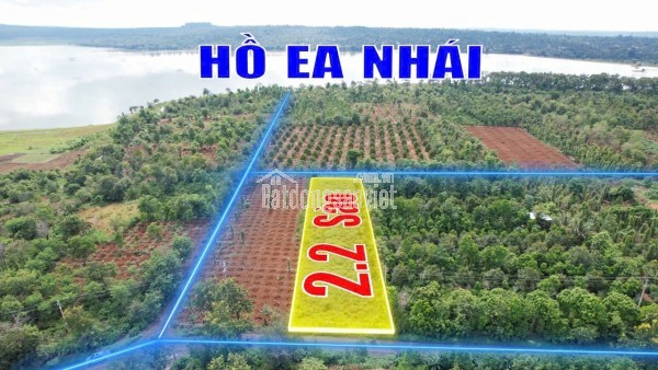 2,1 sào mặt tiền đường nhựa Vành Đai km18 nối tuyết QL14-QL26 1,3 tỷ/sào Quỳnh Anh
