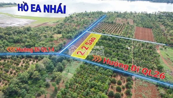 2,1 sào mặt tiền đường nhựa Vành Đai km18 nối tuyết QL14-QL26 1,3 tỷ/sào Quỳnh Anh