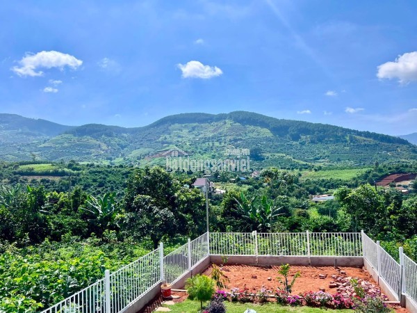 Cần Bán Nhà Vườn Nam Ban 261m², Full Nội Thất, Sân Vườn Rộng, Nhà Mới Đẹp