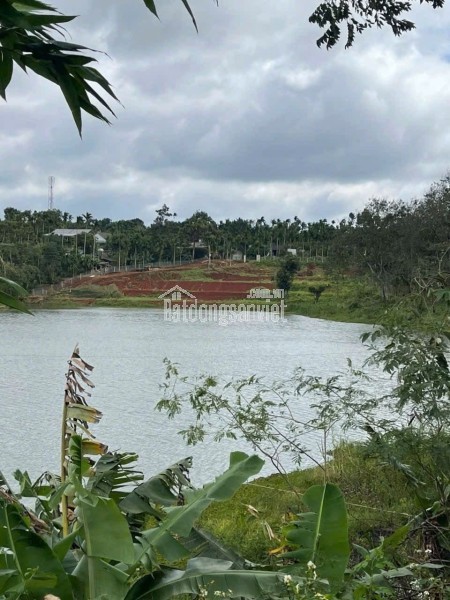 5 sào thổ cư 1500m2 ôm mặt hồ Ea Tiêu 90m cách QL27 chỉ 300m giá 15 tỷ Quỳnh Anh