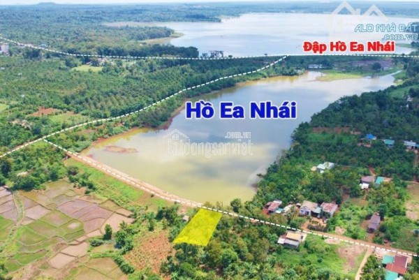 View hồ nhỏ Ea Nhái ôm mặt hồ 24m dài 43m giá 1,5 tỷ full cà phê, sầu riêng Quỳnh Anh