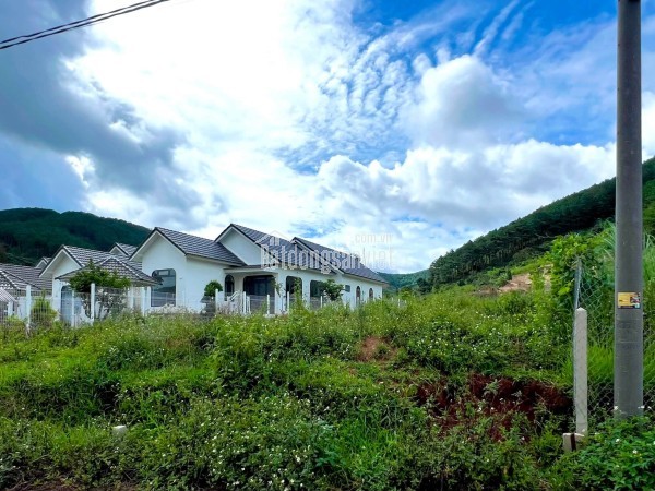 Cần Bán Đất An Sơn Villas 239m² Có 150m² Thổ Cư, Nở Hậu Đẹp