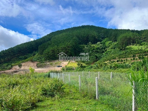Cần Bán Đất An Sơn Villas 239m² Có 150m² Thổ Cư, Nở Hậu Đẹp