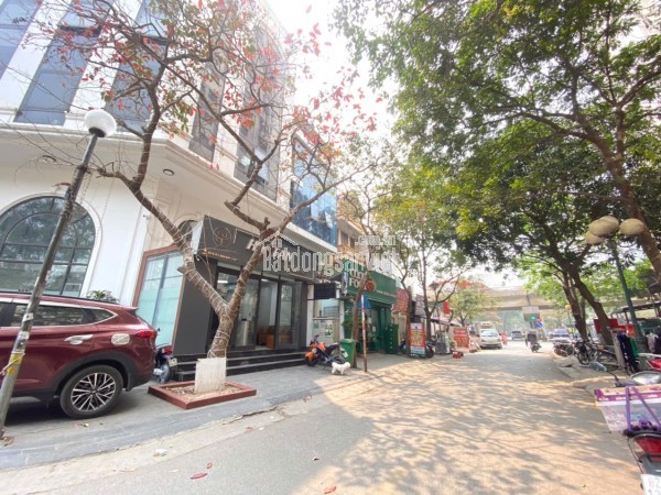 🔅 BIỆT THỰ LINH ĐÀM, 203M2 7T THANG MÁY, LÔ GÓC 3 MT 27M, CHỈ 72 TỶ 🔅
