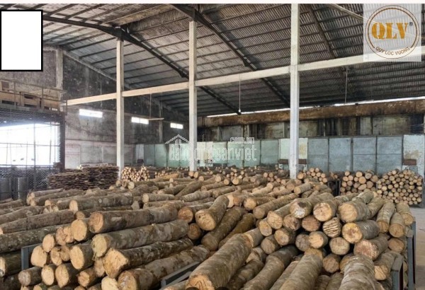 BÁN NHÀ XƯỞNG TẠI XUÂN PHÚ, thành phố ĐÀ NẴNG – 58.591m²
