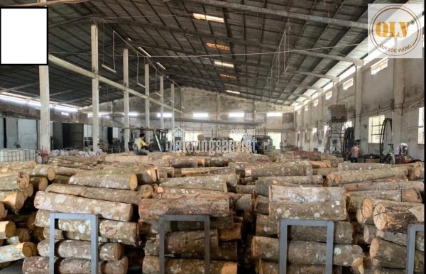 BÁN NHÀ XƯỞNG TẠI XUÂN PHÚ, thành phố ĐÀ NẴNG – 58.591m²
