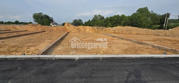 Bán đất Trung Giã Hà Nội, 100m2, MT 6.5m, chỉ 750 triệu, ô tô thông, công nghiệp- dịch vụ