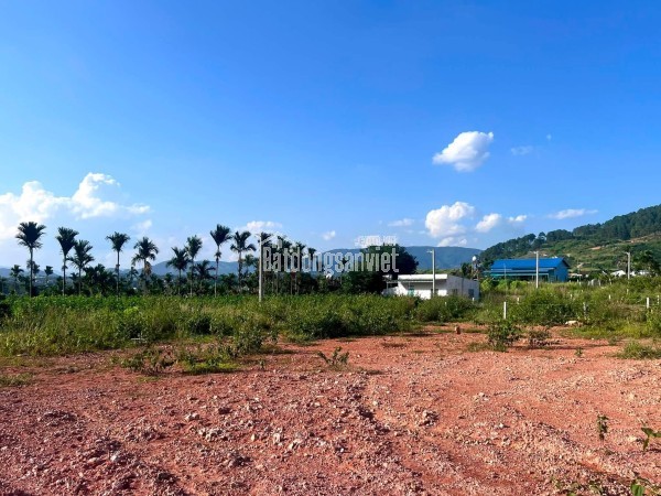 Cần Bán Đất 309m² Có 209m² Thổ Cư, 2 Mặt Tiền Giữa Thung Lũng Thông Xanh