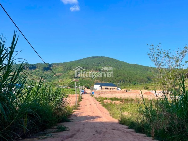 Cần Bán Đất 309m² Có 209m² Thổ Cư, 2 Mặt Tiền Giữa Thung Lũng Thông Xanh