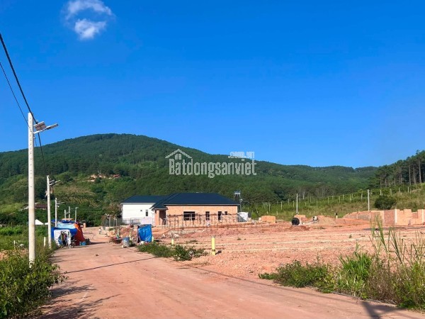 Cần Bán Đất 309m² Có 209m² Thổ Cư, 2 Mặt Tiền Giữa Thung Lũng Thông Xanh