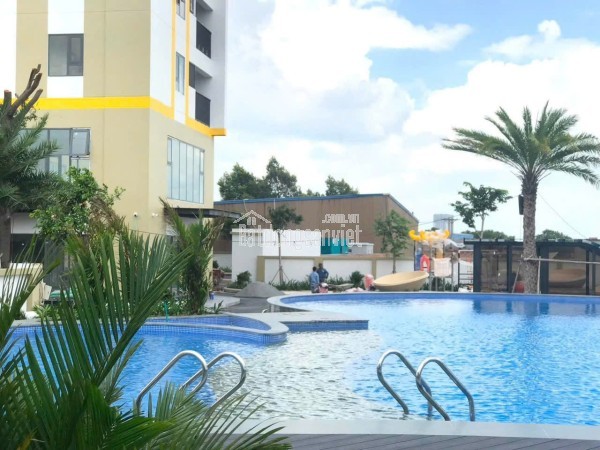 CHÍNH CHỦ CHO THUÊ CĂN 2PN – 2WC, 60M², – DIAMOND BOULEVARD, ĐẠI LỘ BÌNH DƯƠNG – 6,5 TRIỆU/THÁNG