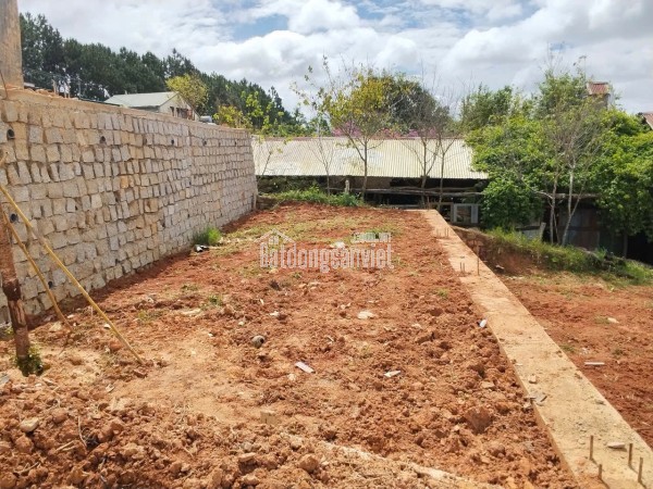 GIA ĐÌNH CẦN BÁN LÔ ĐẤT TÔ HIỆU – ĐÀ LẠT  VIEW THOÁNG – ĐƯỜNG Ô TÔ TẬN NƠI
