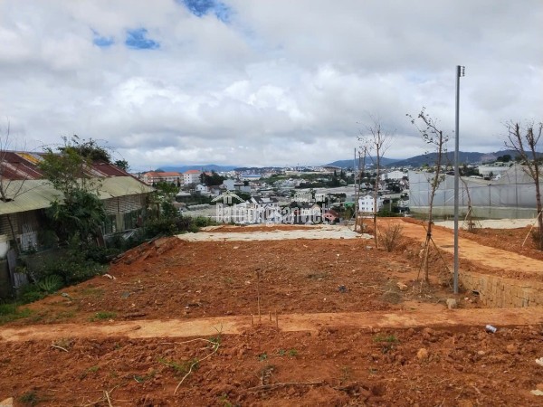 GIA ĐÌNH CẦN BÁN LÔ ĐẤT TÔ HIỆU – ĐÀ LẠT  VIEW THOÁNG – ĐƯỜNG Ô TÔ TẬN NƠI